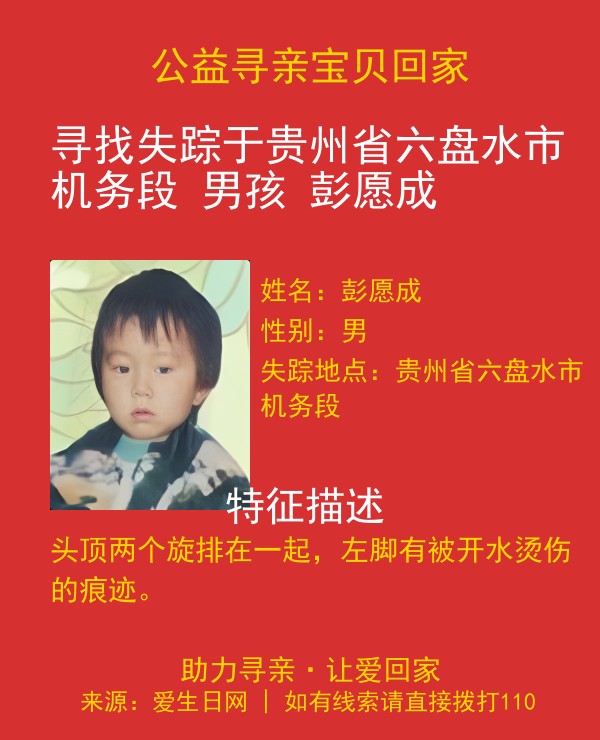 寻亲海报