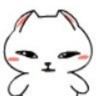 兔小白的头像